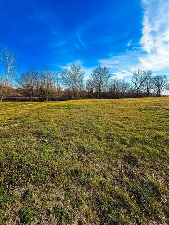 $17,000 | 1207 South Cedar Street, Nevada, MO 64772