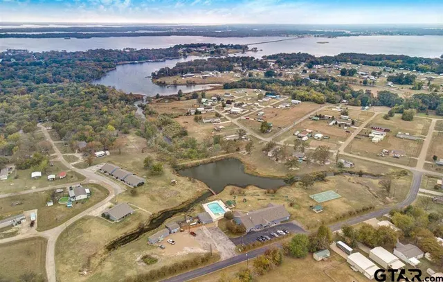 a view of a garden with lawn chairs and a large tree