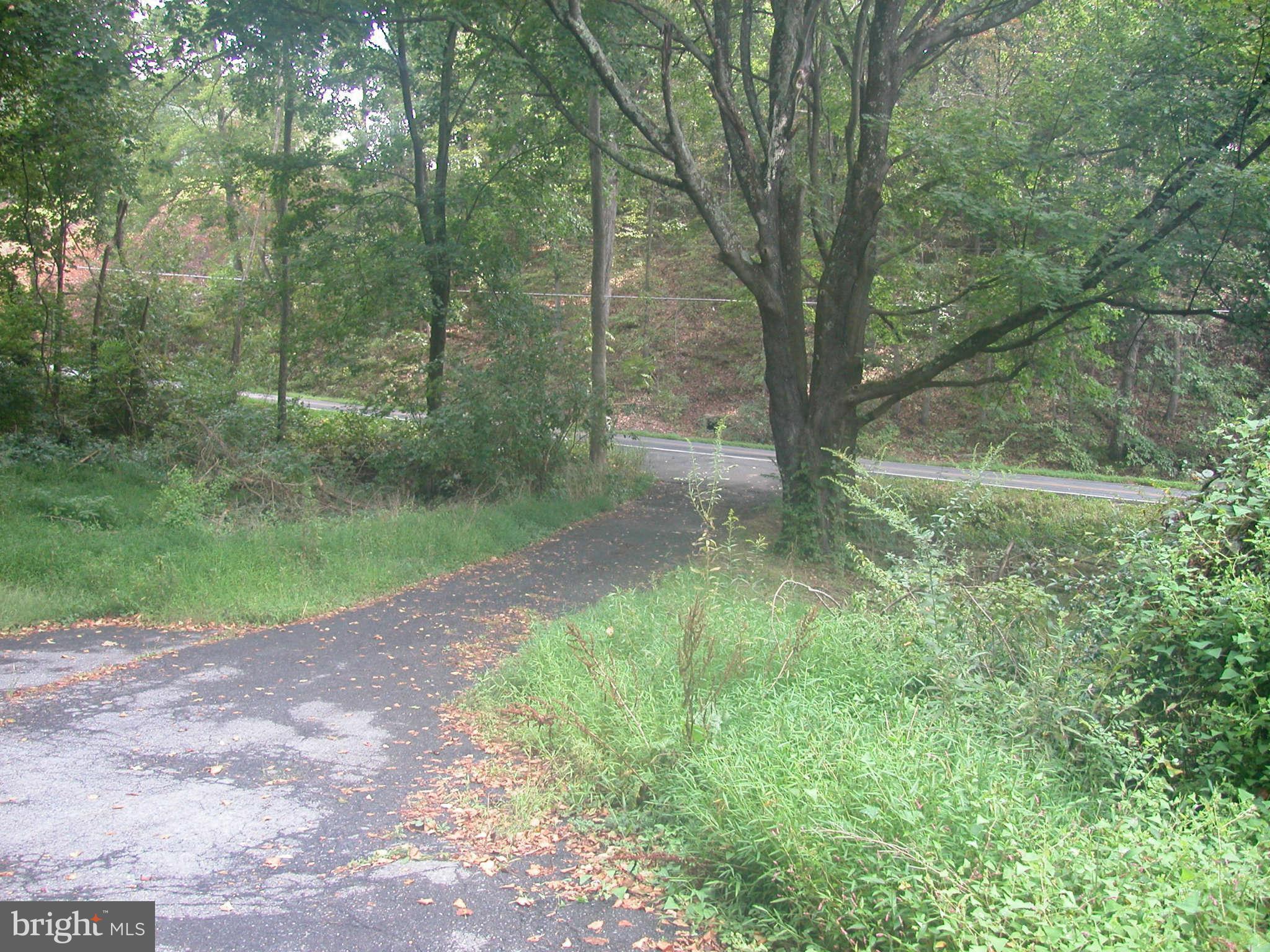 4420 Lynn Burke Road Monrovia, MD 21770 - Photo 2 of 3 view from house porch to street gravel drive
