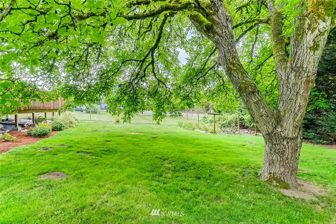 216 174th Street Southwest Bothell, WA 98012 - Photo 6 of 27 a view of backyard with green space
