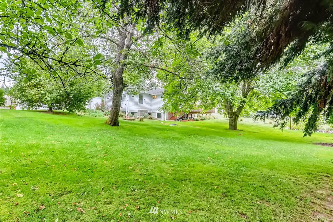 216 174th Street Southwest Bothell, WA 98012 - Photo 7 of 27 a huge green field with lots of trees