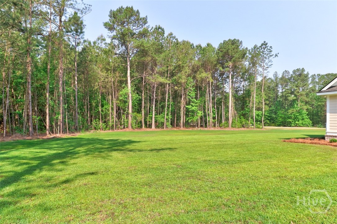 100 Robert's Road Springfield, GA 31329 - Photo 52 of 54