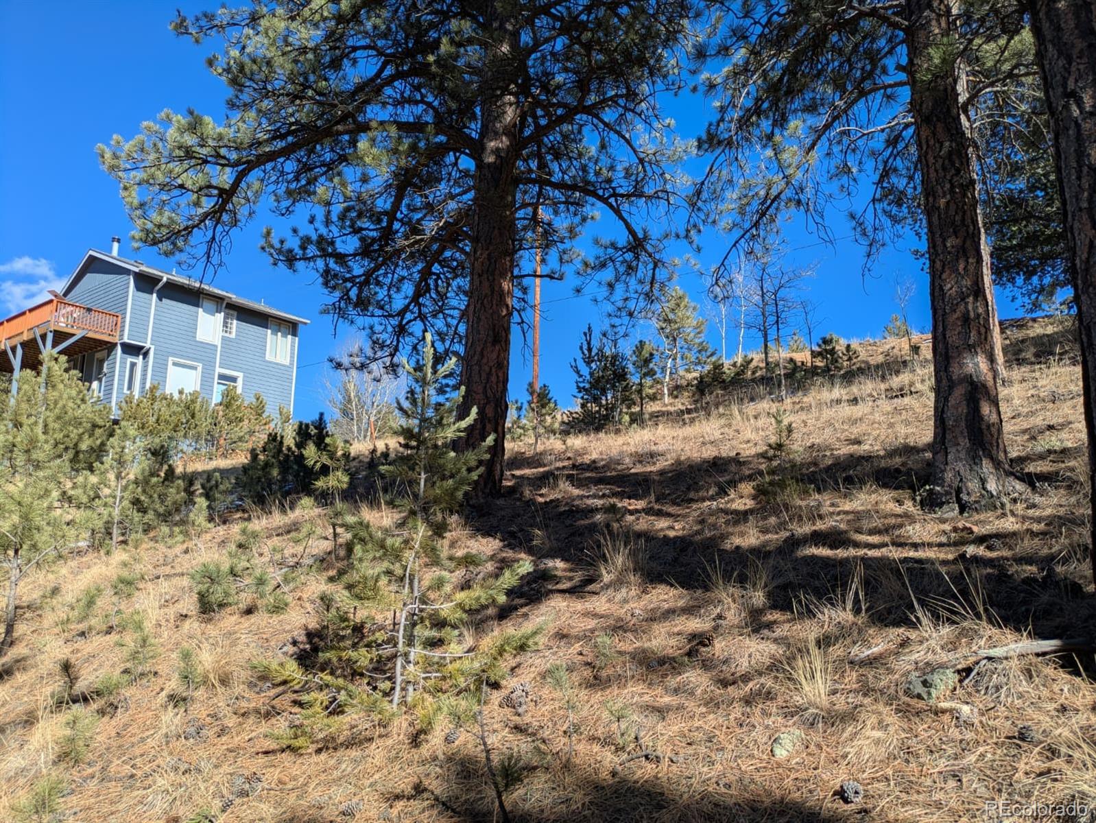 261 Appleby Street Bailey, CO 80421 - Photo 12 of 22 a view of a house with a yard
