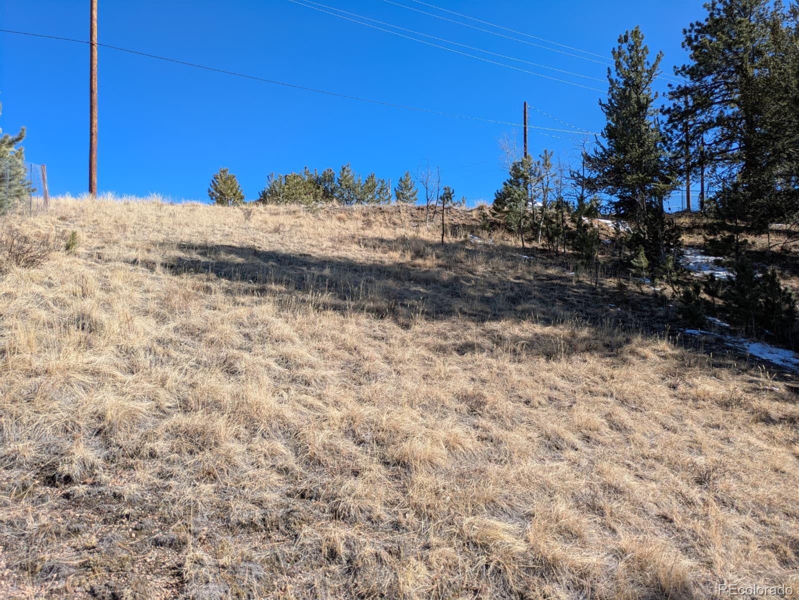 261 Appleby Street Bailey, CO 80421 - Photo 17 of 22 a view of a dry yard with a house in the background