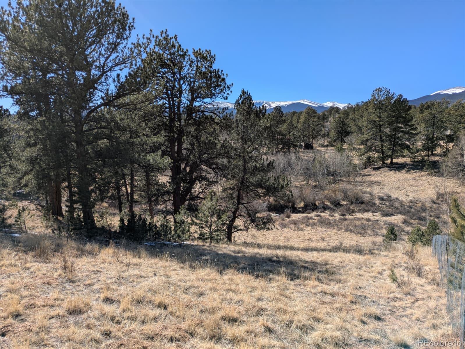261 Appleby Street Bailey, CO 80421 - Photo 19 of 22 a view of a yard with trees in the background