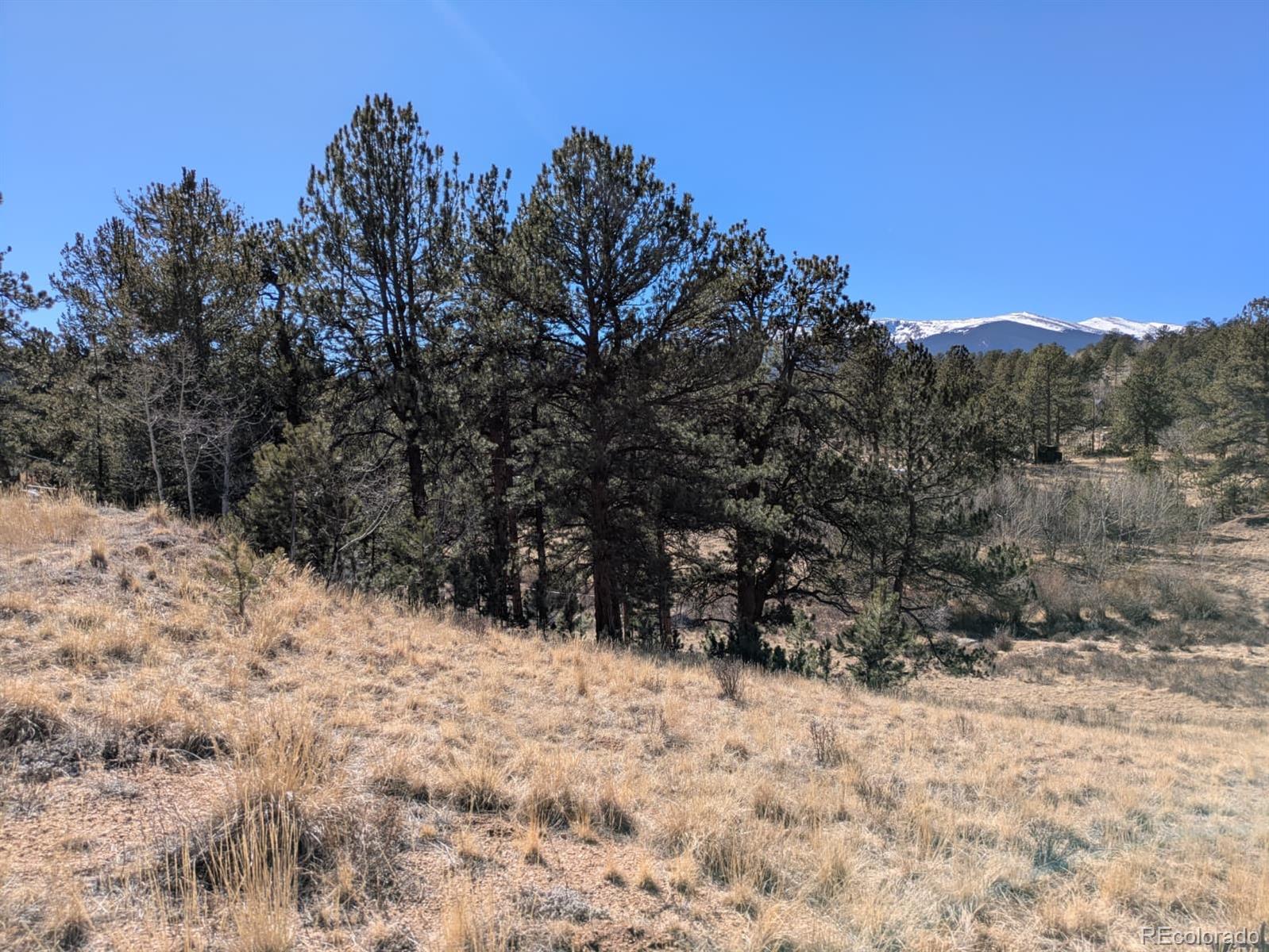 261 Appleby Street Bailey, CO 80421 - Photo 20 of 22 a view of a snow covered with snow in the background
