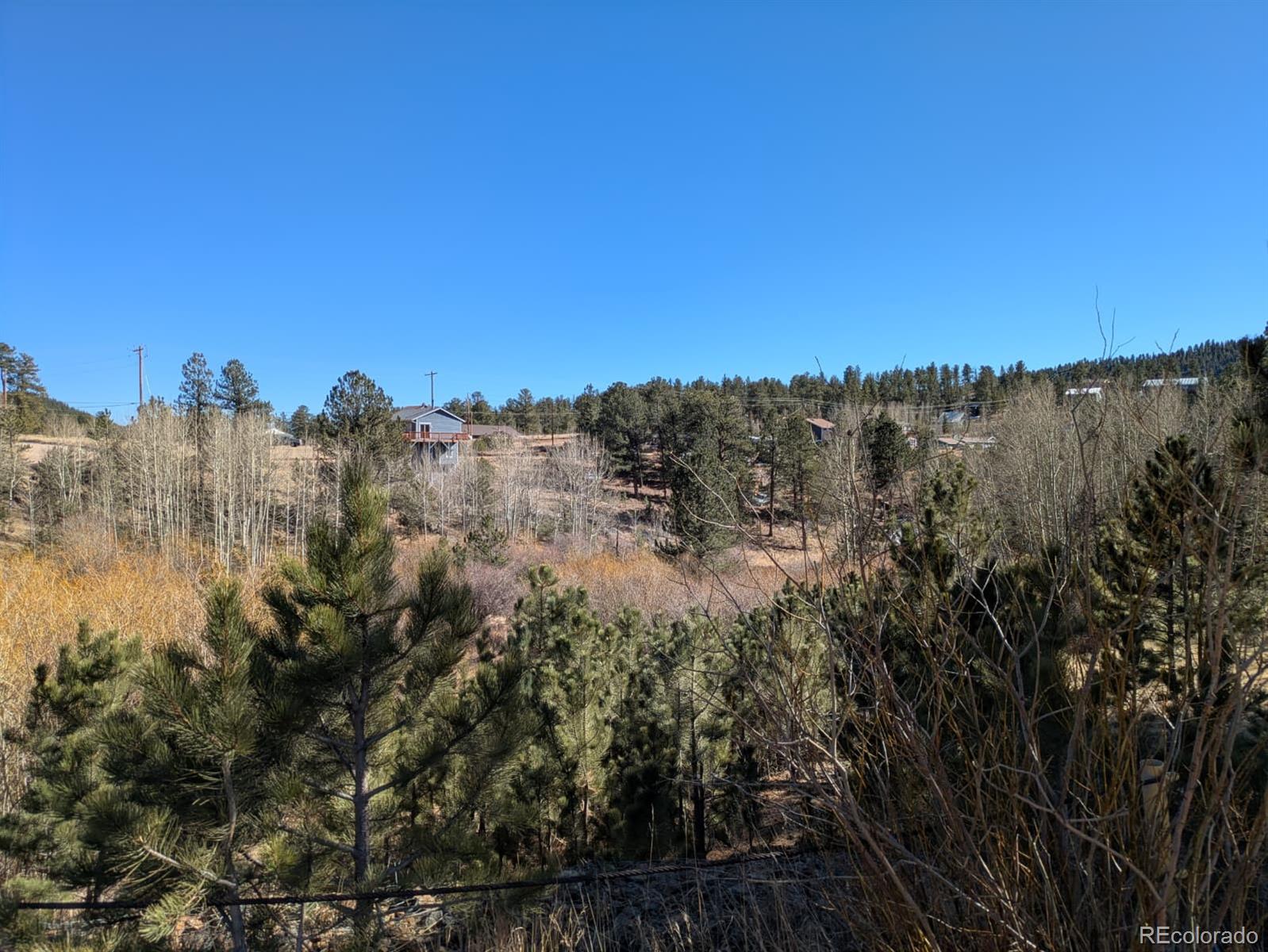 261 Appleby Street Bailey, CO 80421 - Photo 2 of 22 a view of a city