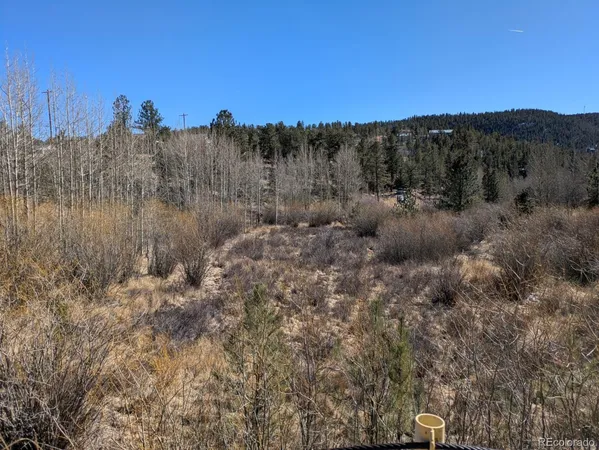 a view of a dry yard with mountains in the background