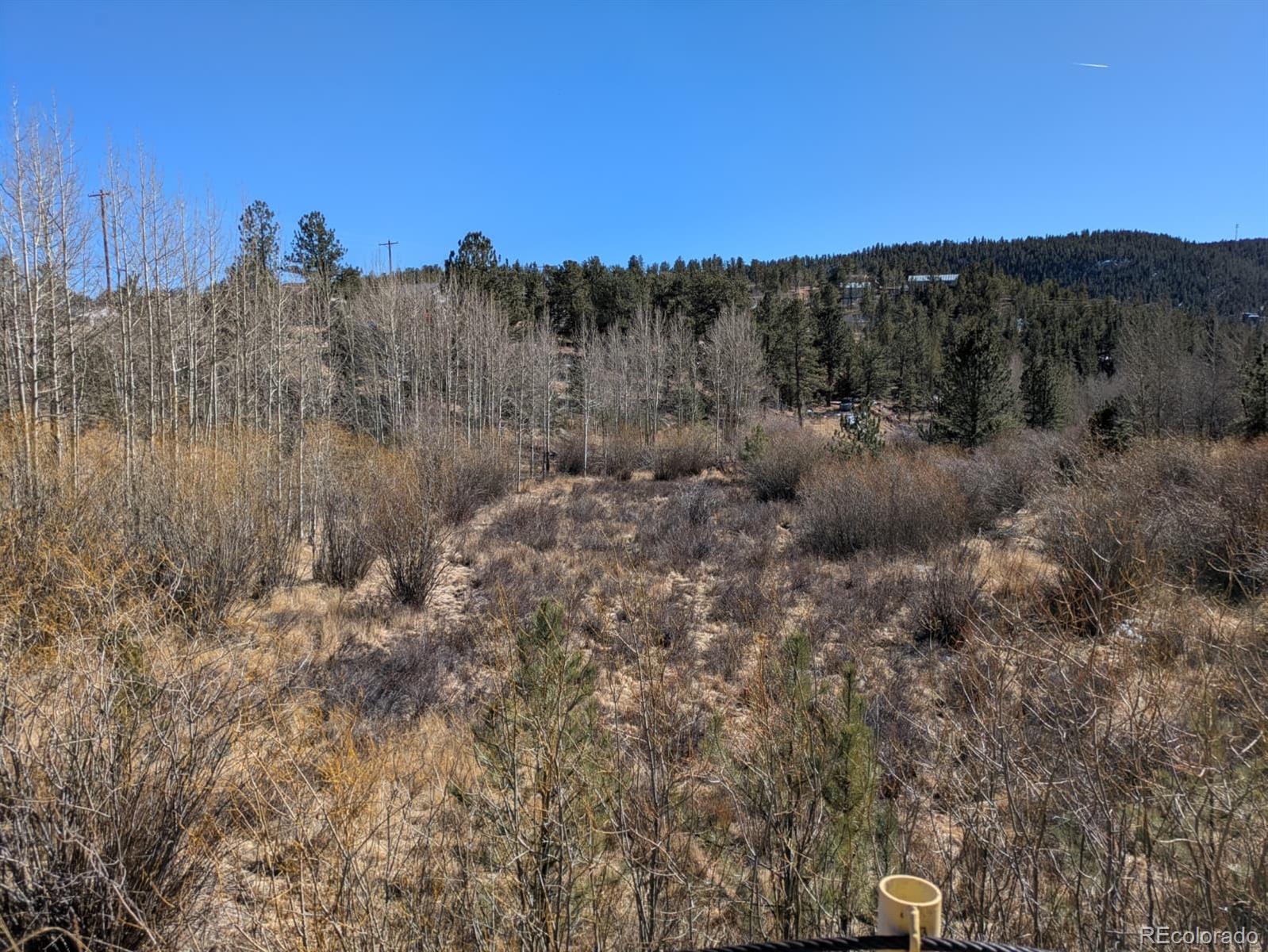261 Appleby Street Bailey, CO 80421 - Photo 3 of 22 a view of a dry yard with mountains in the background