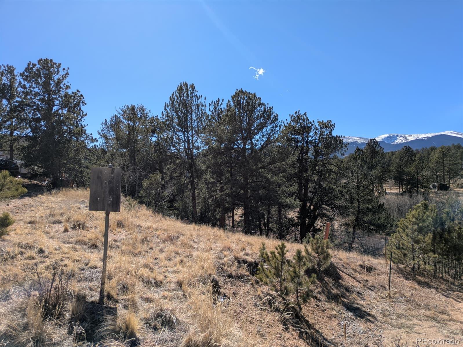 261 Appleby Street Bailey, CO 80421 - Photo 4 of 22 a view of a snow covered with snow in the background