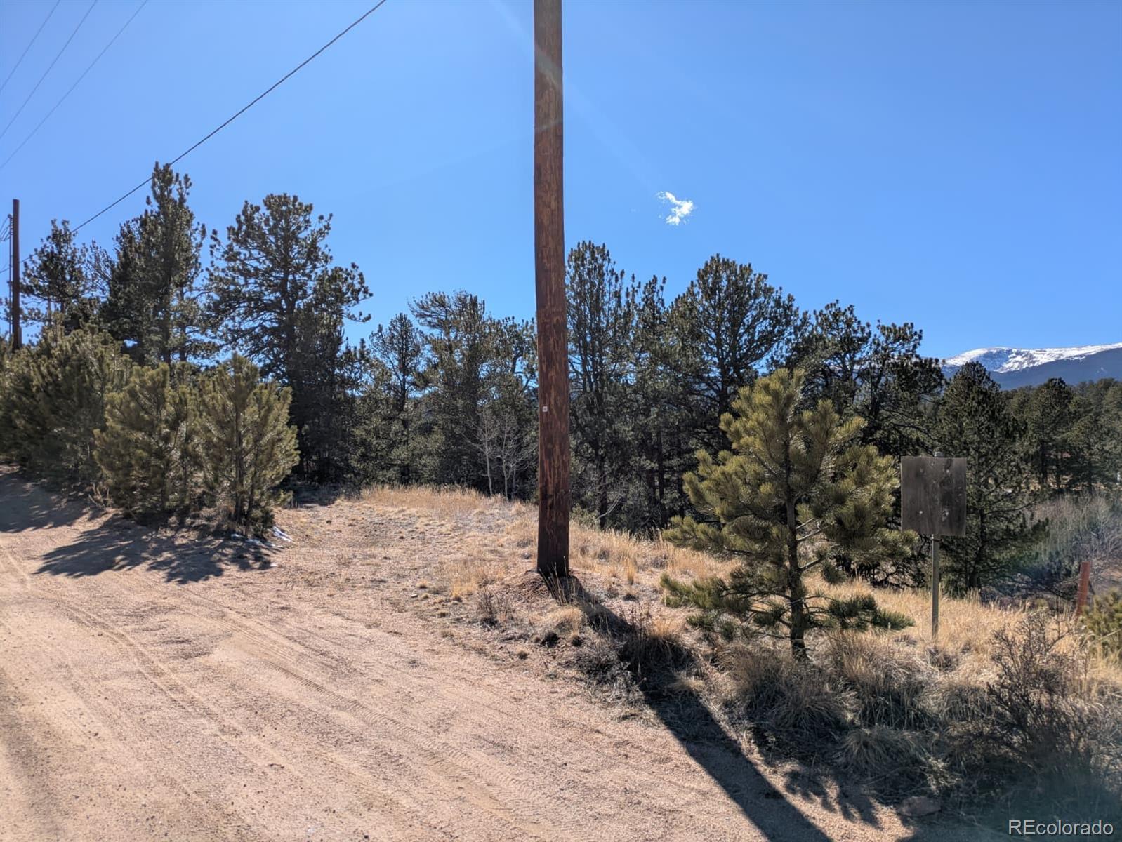 261 Appleby Street Bailey, CO 80421 - Photo 6 of 22 a view of a road with trees in the background