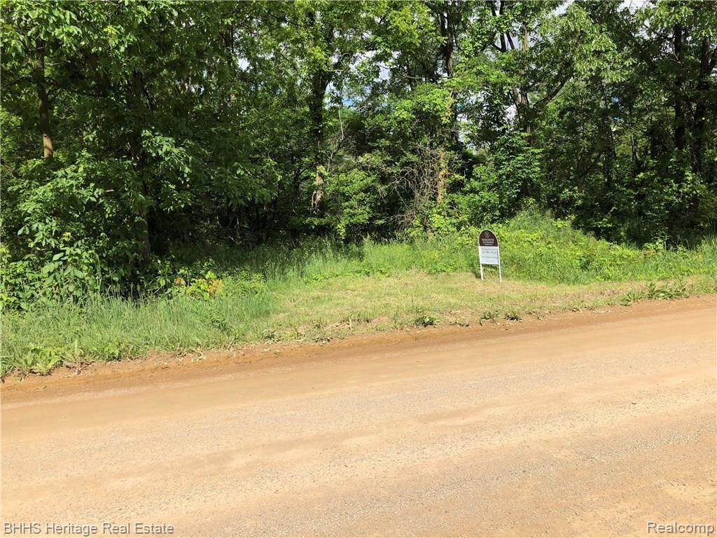 V/l State Perry, MI 48872 - Photo 1 of 3