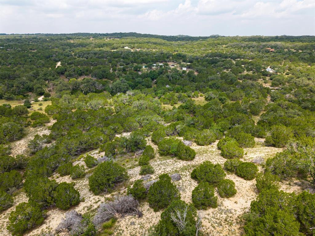 121 Spring Cove Dripping Springs, TX 78620 - Photo 9 of 40