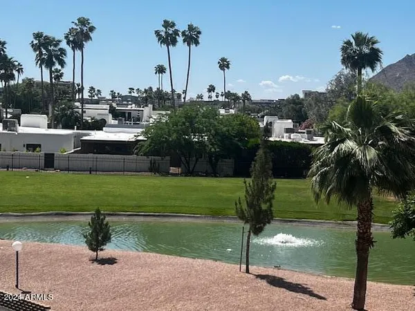 a park view with potted plants