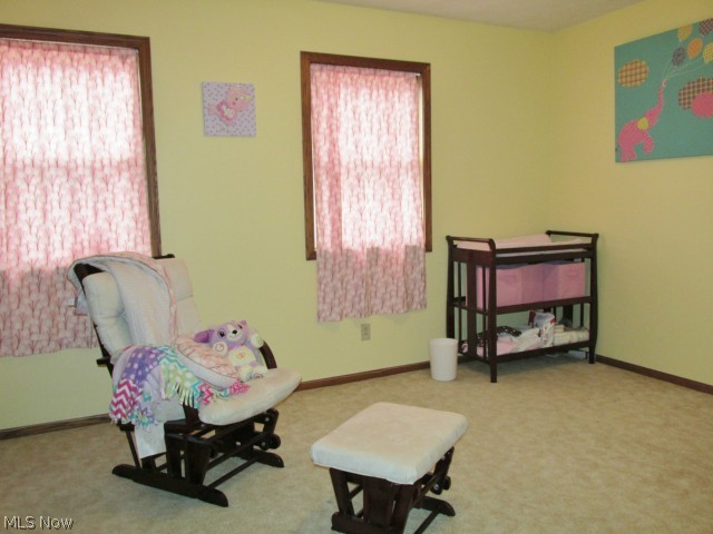 2553 Burbank Road Wooster, OH 44691 - Photo 11 of 16 Gallery Image 11