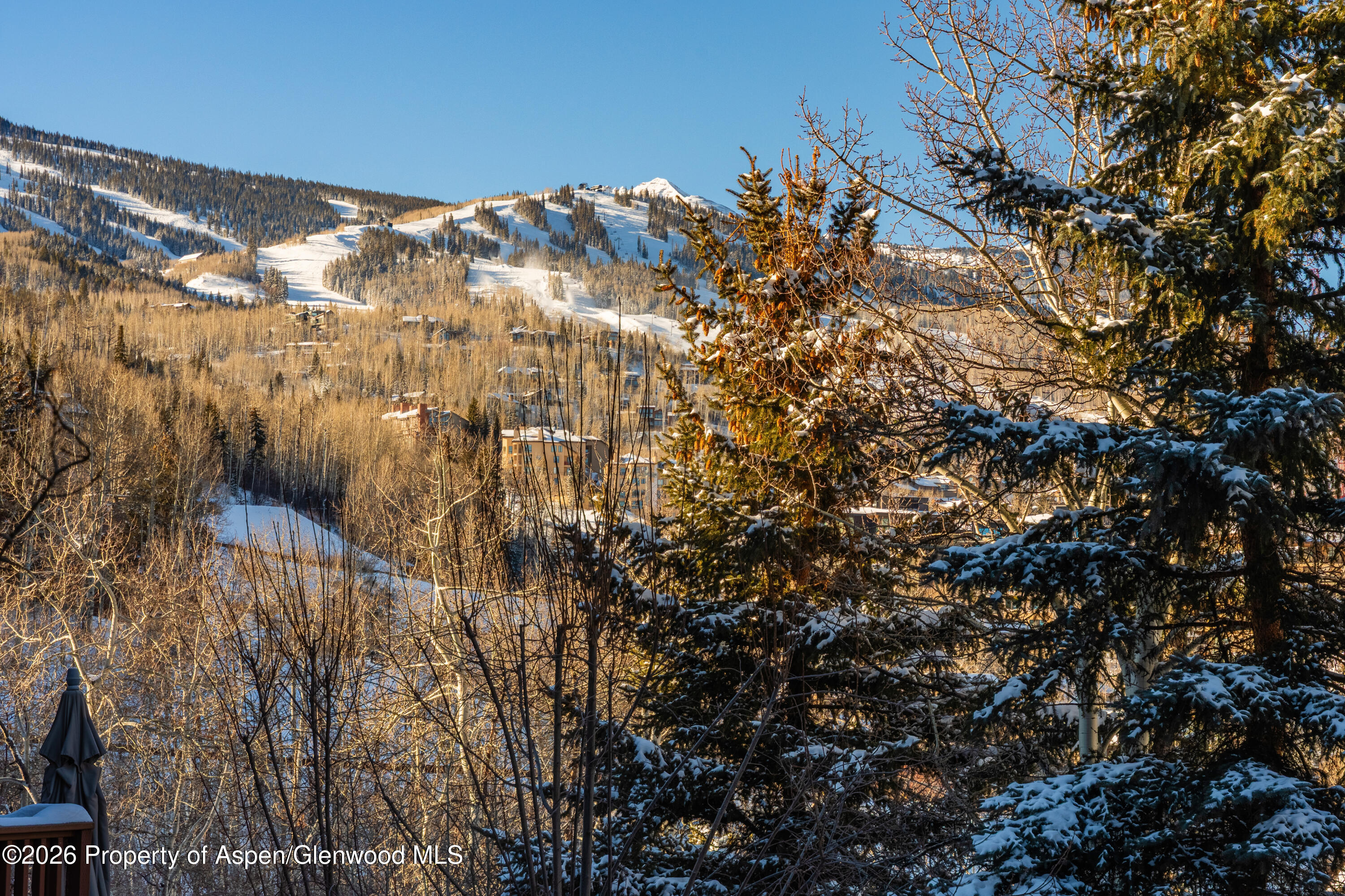 229 Faraway Road, Unit 28 Snowmass Village, CO 81615 - Photo 27 of 30 Winter View of Snowmass Ski Trails