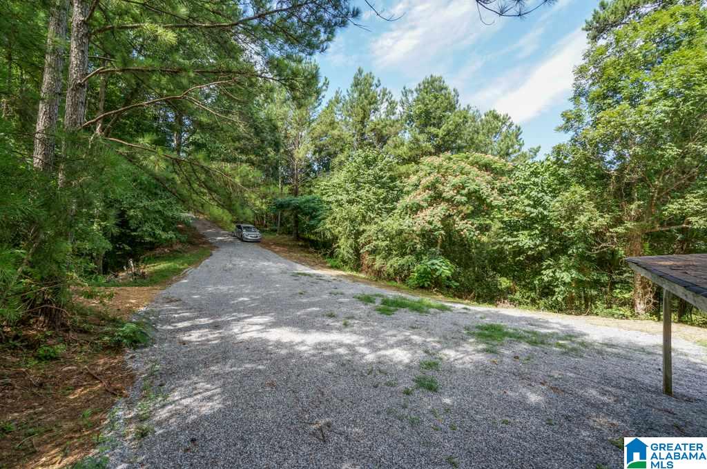 161 Ridge Road Shelby, AL 35143 - Photo 33 of 43