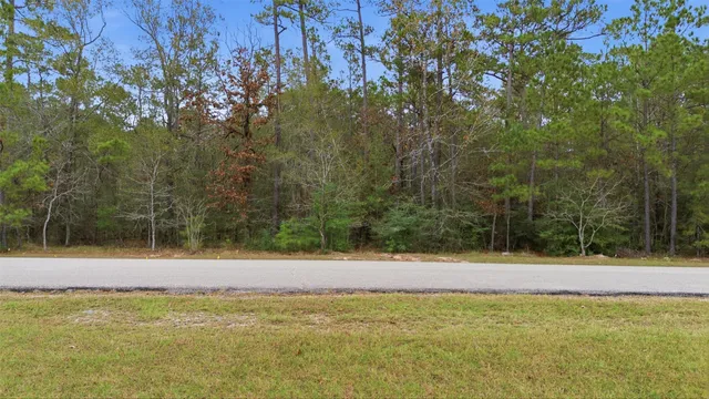 $220,000 | 12033 Oak Forest Lane, Conroe, TX 77385