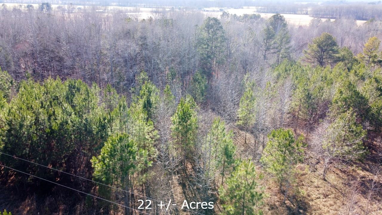 1 Puron Road Adamsville, TN 38310 - Photo 1 of 7 Gallery Image 1