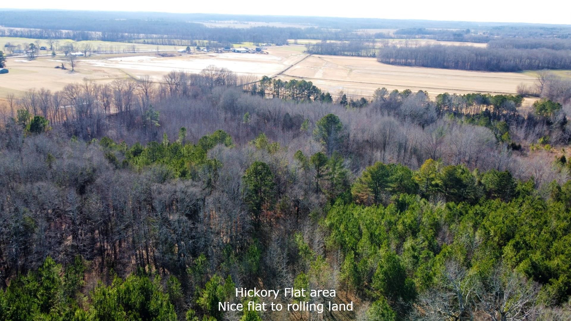 1 Puron Road Adamsville, TN 38310 - Photo 3 of 7 Gallery Image 3