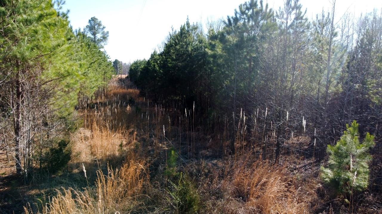 1 Puron Road Adamsville, TN 38310 - Photo 4 of 7 Gallery Image 4