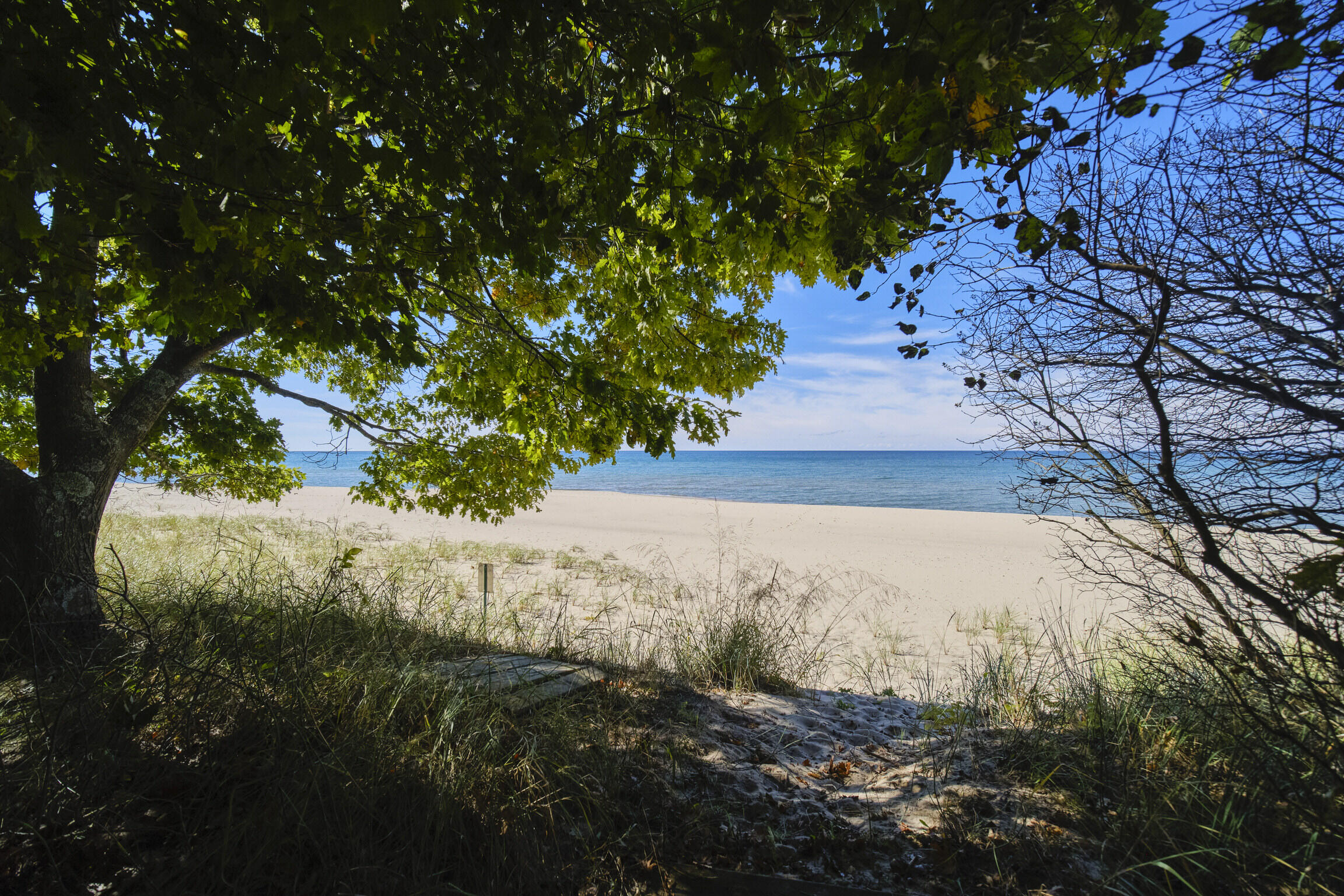 12838 Lakeview Road Bear Lake, MI 49614 - Photo 3 of 69 12838_Lakeview_Rd-25