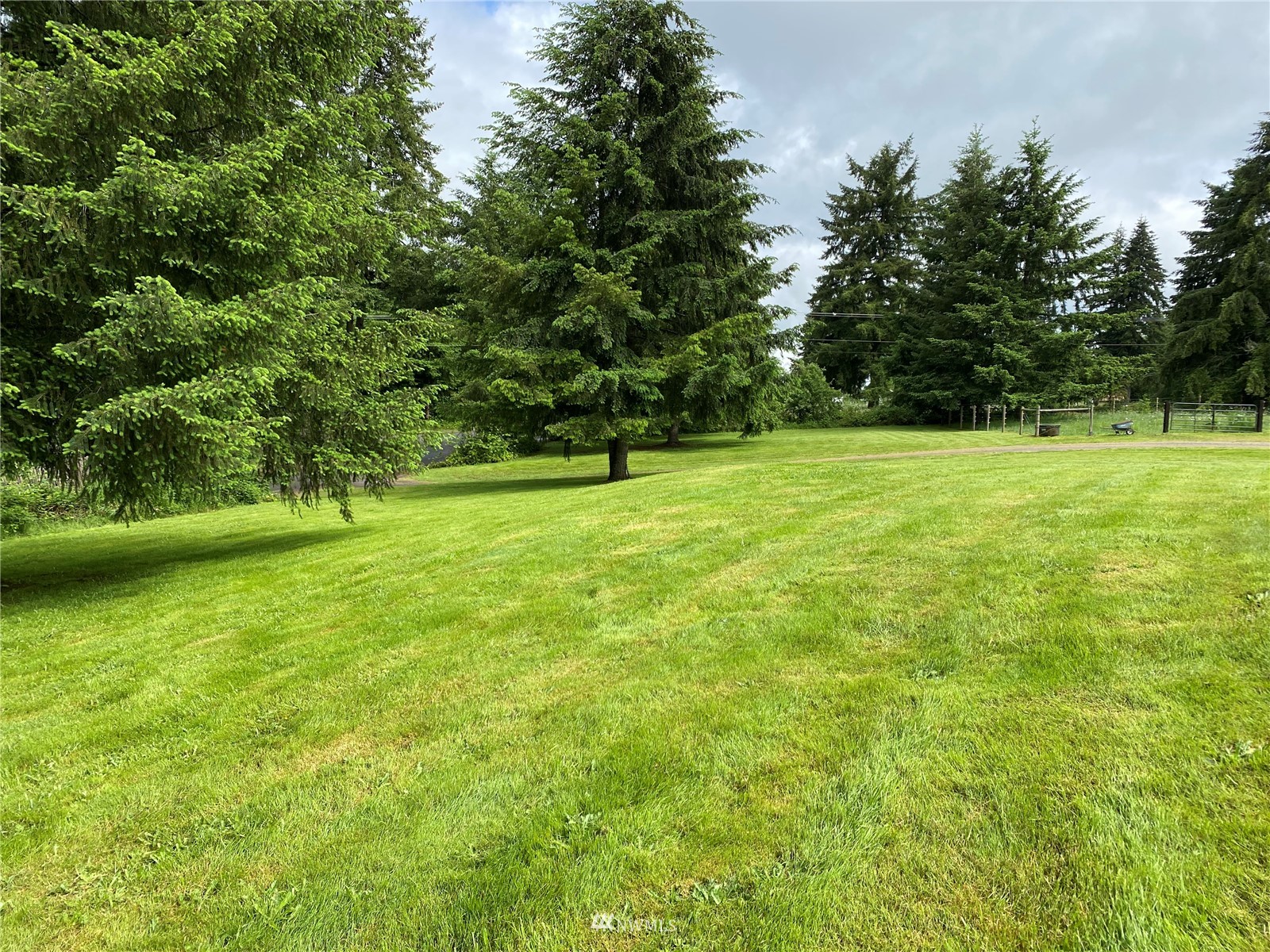 105 Cristler Road Chehalis, WA 98532 - Photo 4 of 37 a view of field with trees in the background