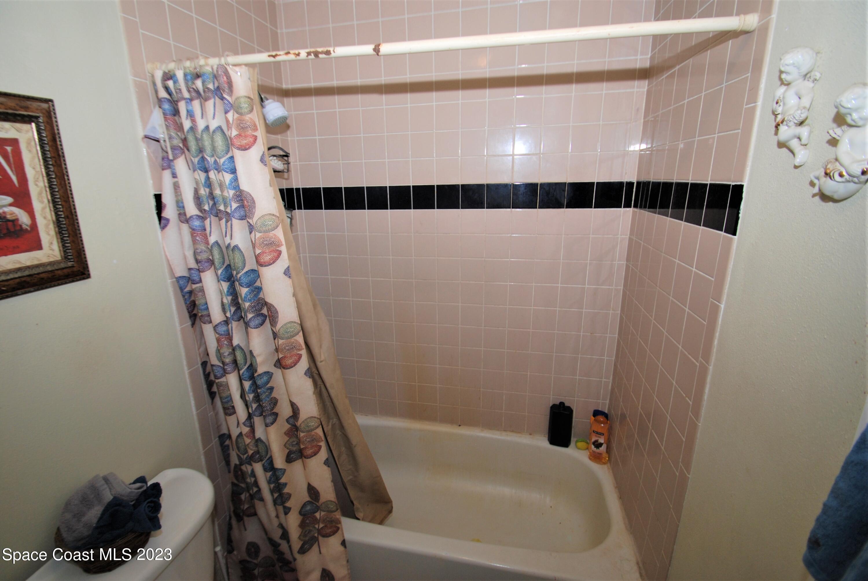 2450 Ski Lane Malabar, FL 32950 - Photo 9 of 23 Primary Shower