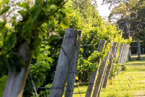 $13,000,000 | 59600 Main Road, Southold, NY 11971