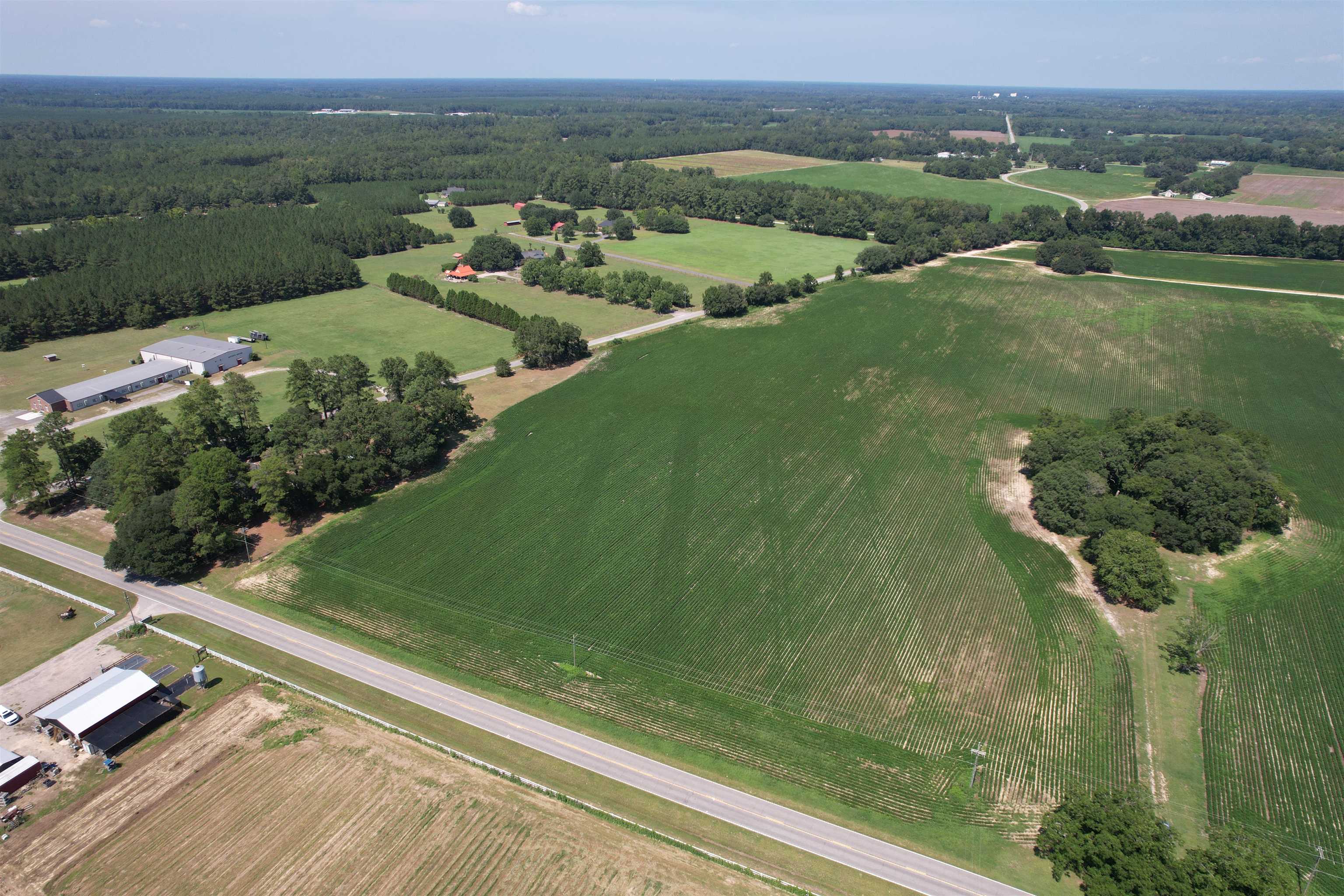 Lot 5 Buck Strong Road Kingstree, SC 29556 - Photo 4 of 6 Gallery Image 4