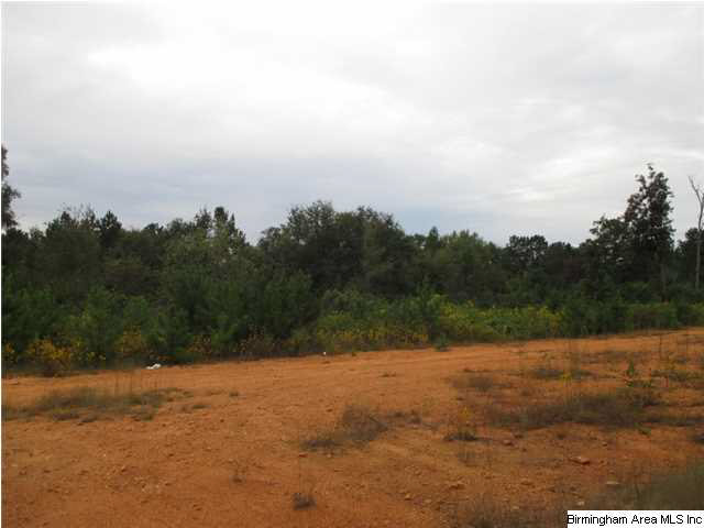 76 Morris Farms Drive Riverside, AL 35135 - Photo 5 of 6