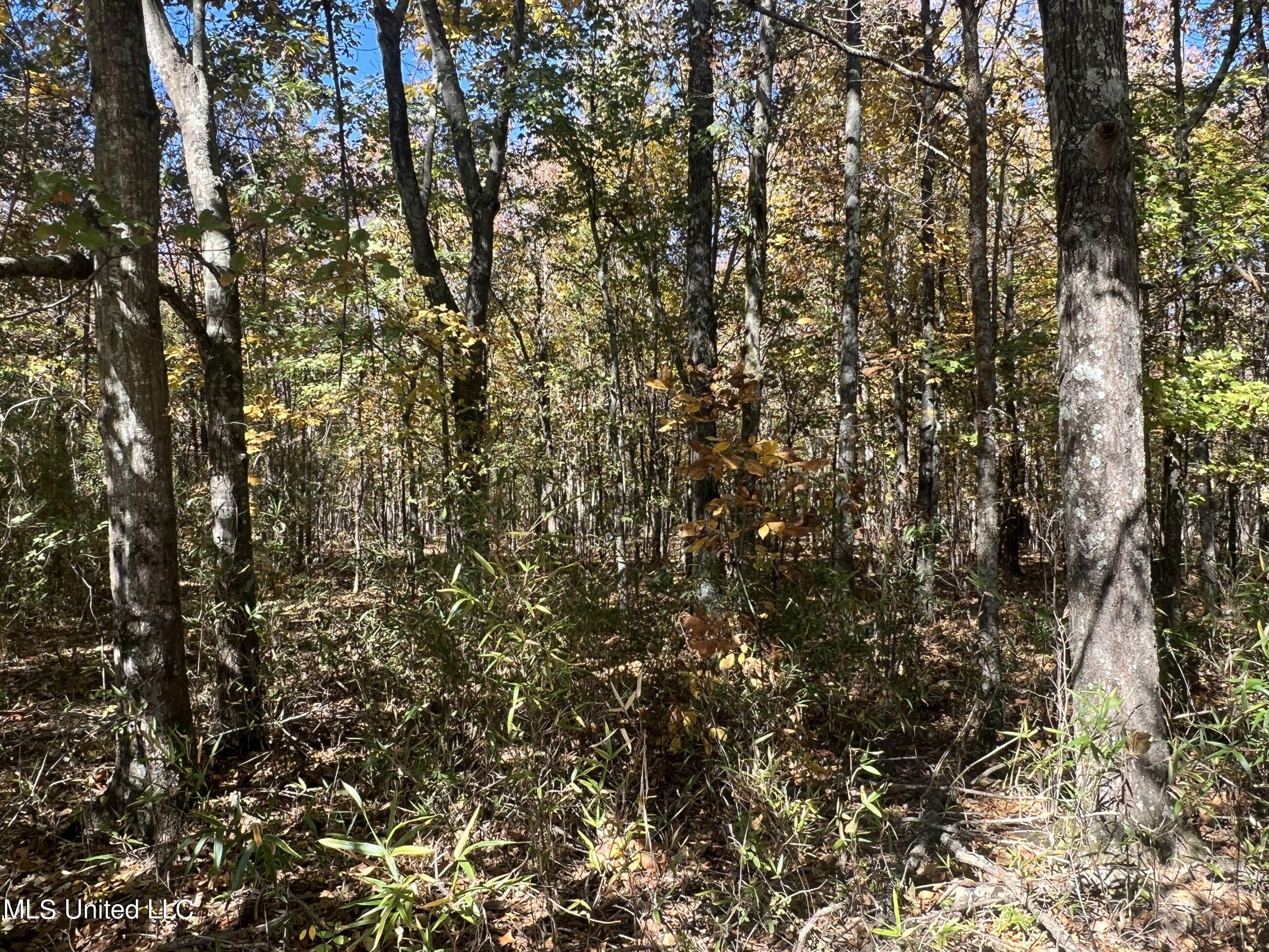 5151 Nash Road Batesville, MS 38606 - Photo 35 of 75 3irvi26