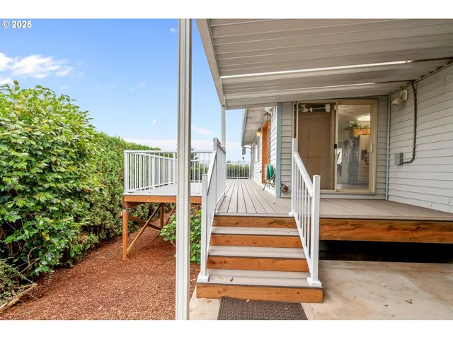 a view of a backyard with plants and a garage