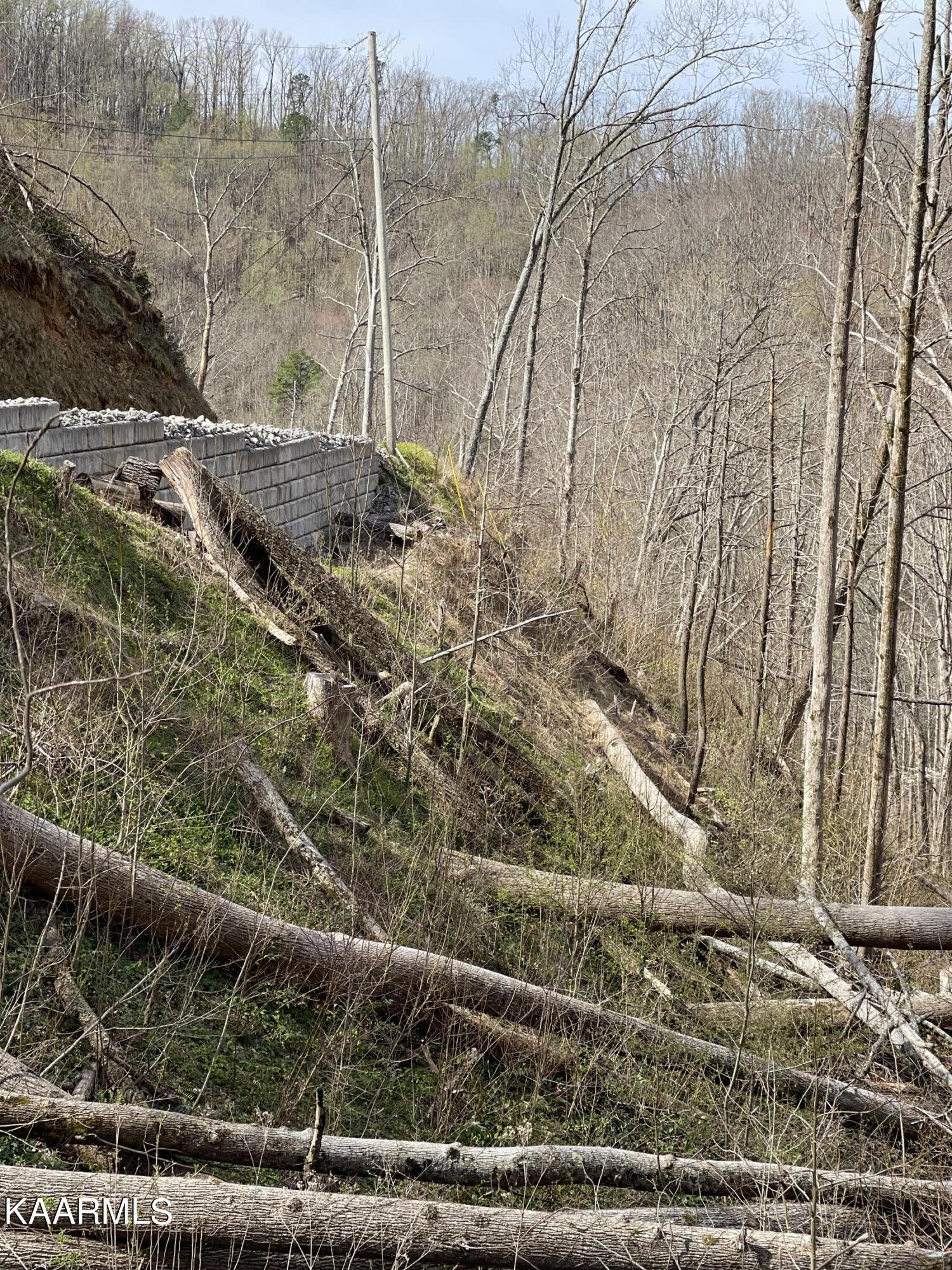 Little Fox Road Gatlinburg, TN 37738 - Photo 1 of 1 IMG_5517