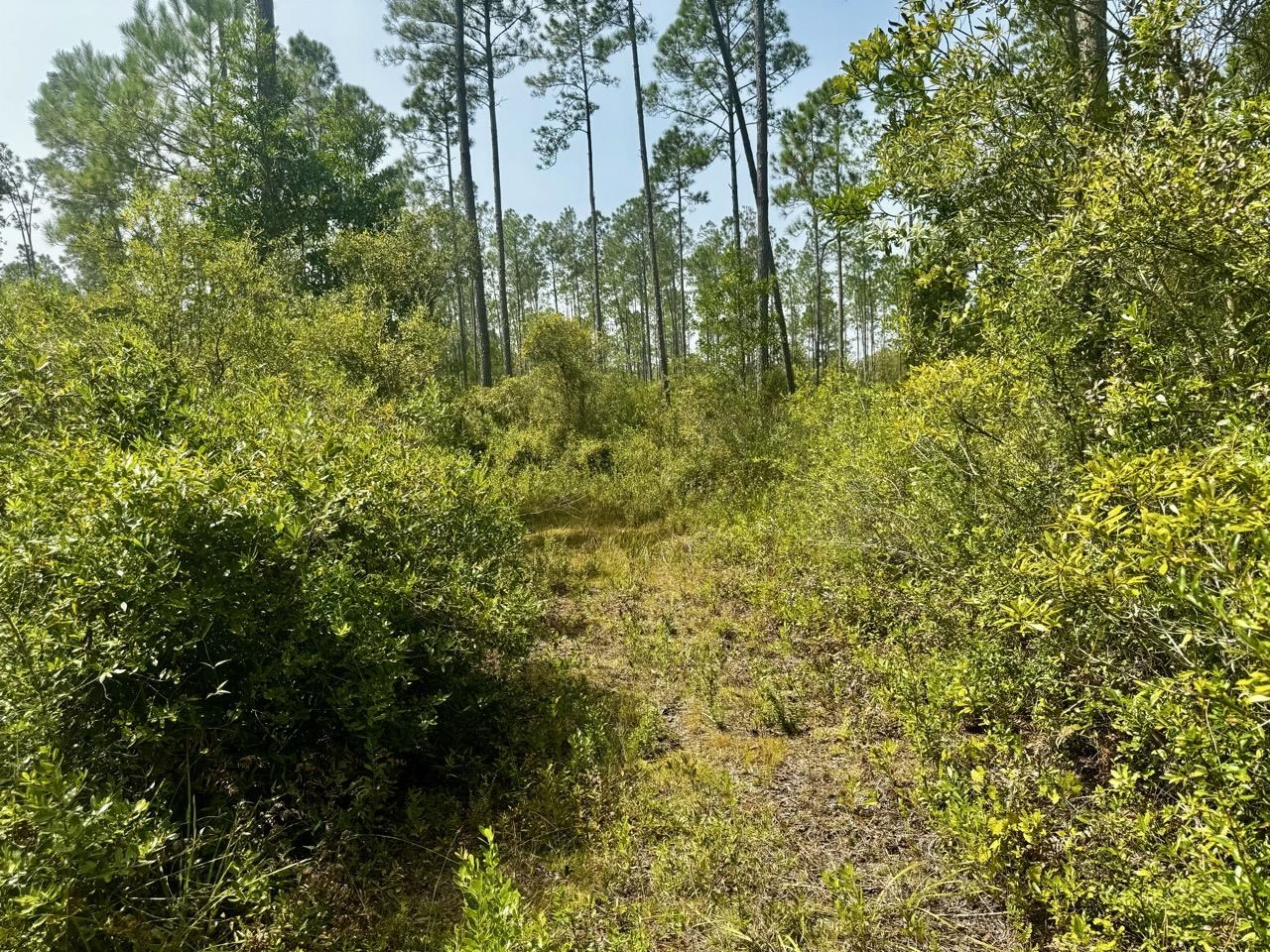 1404 Southwest Pacific Dr