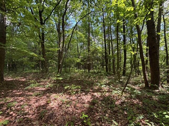 590 Black Mountain Road Dunlap, TN 37327 - Photo 17 of 20 IMG_6662