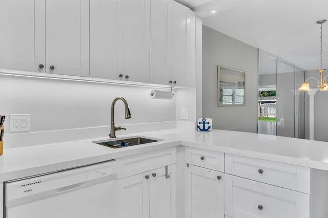 a close view of a sink and a potted plant on the counter