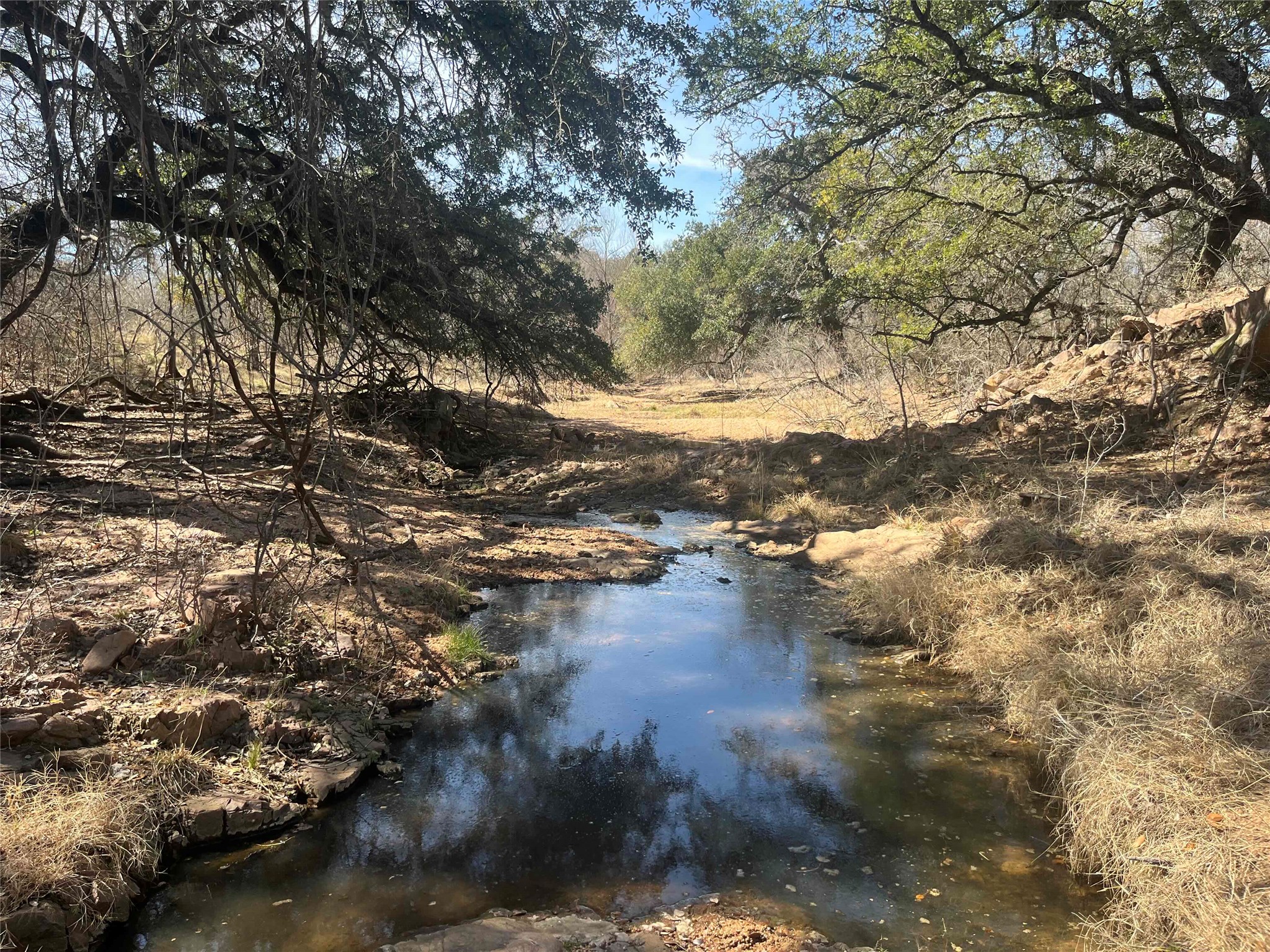 a view of lake view with lots of trees