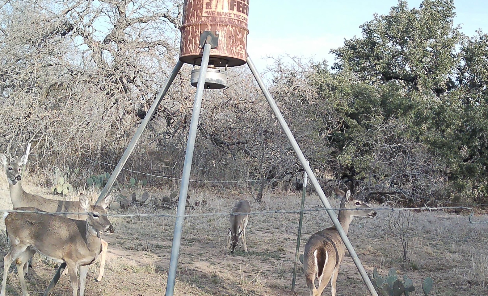 0 Rr 152 Llano, TX 78643 - Photo 9 of 20 a picture of street