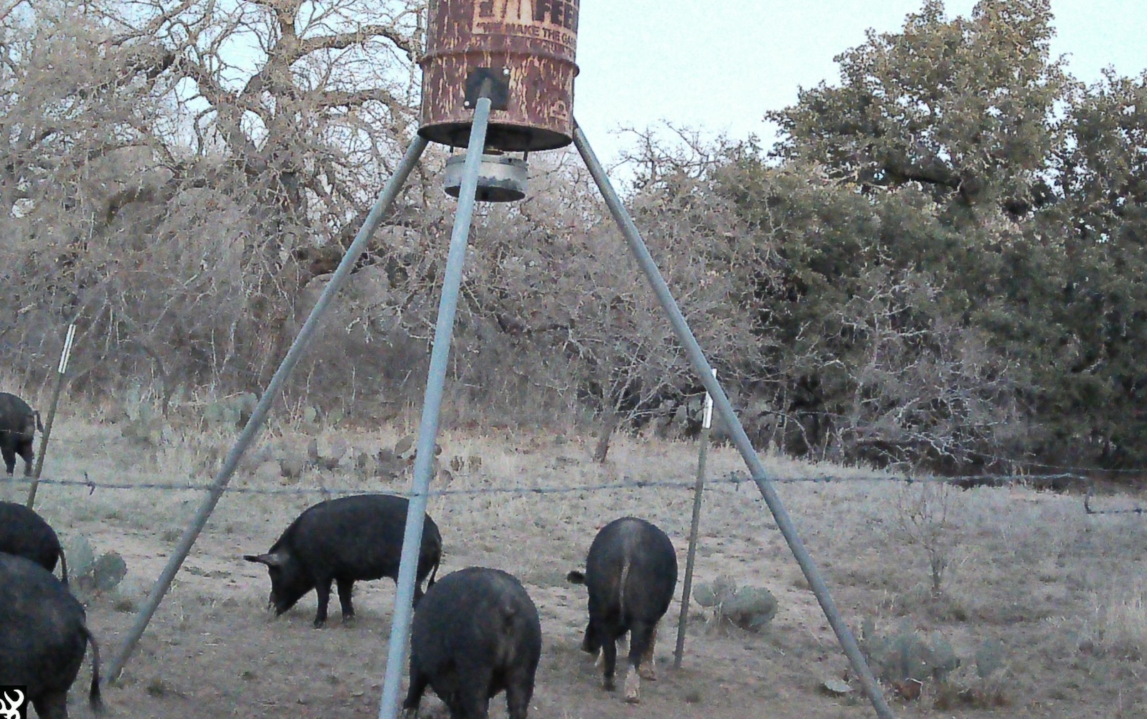 0 Rr 152 Llano, TX 78643 - Photo 10 of 20 a view of backyard with seating space and trees
