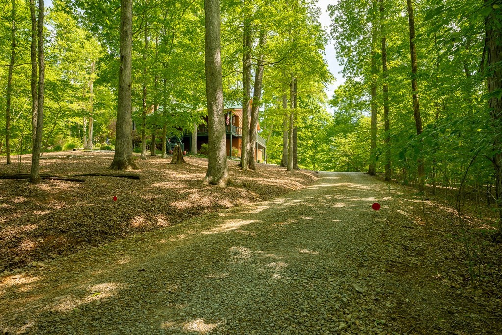 386 River Run Road Calhoun, TN 37309 - Photo 68 of 70 Gallery Image 68
