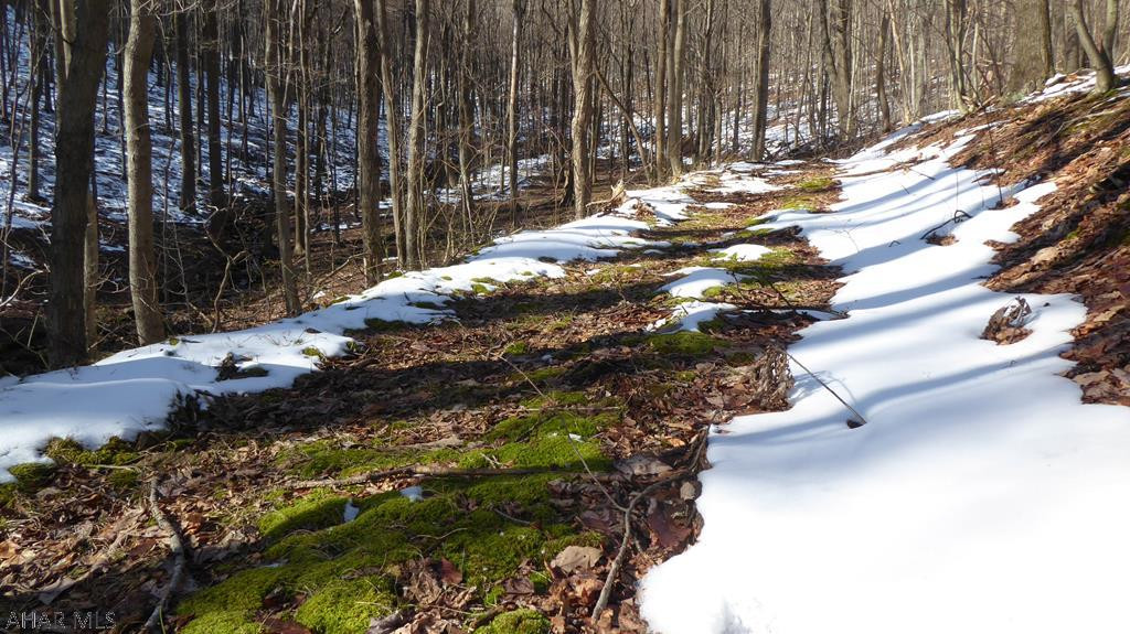 Off Leonard Road Alum Bank, PA 15521 - Photo 23 of 25 Gallery Image 23