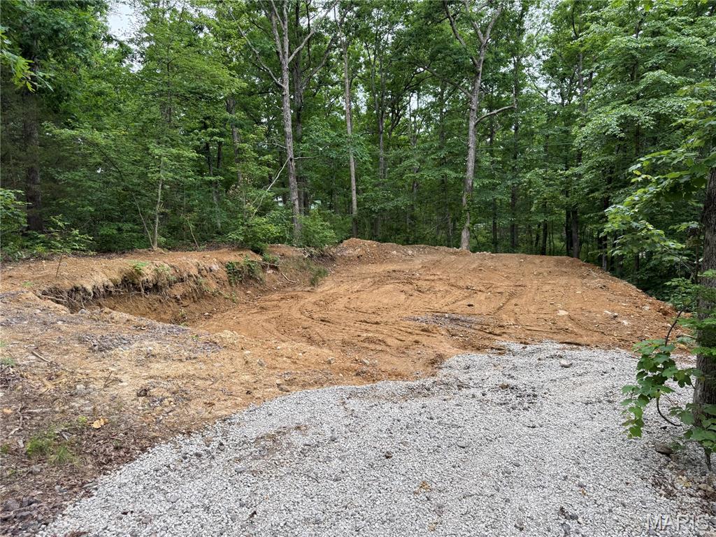 0 Lot 84 Mallard Road Middle Brook, MO 63656 - Photo 6 of 11