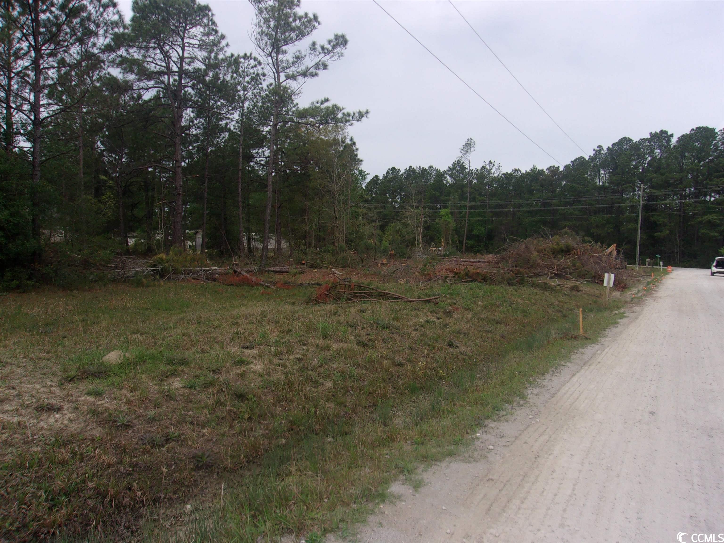 Tr A St Peters Church Road Myrtle Beach, SC 29588 - Photo 11 of 19 Gallery Image 11