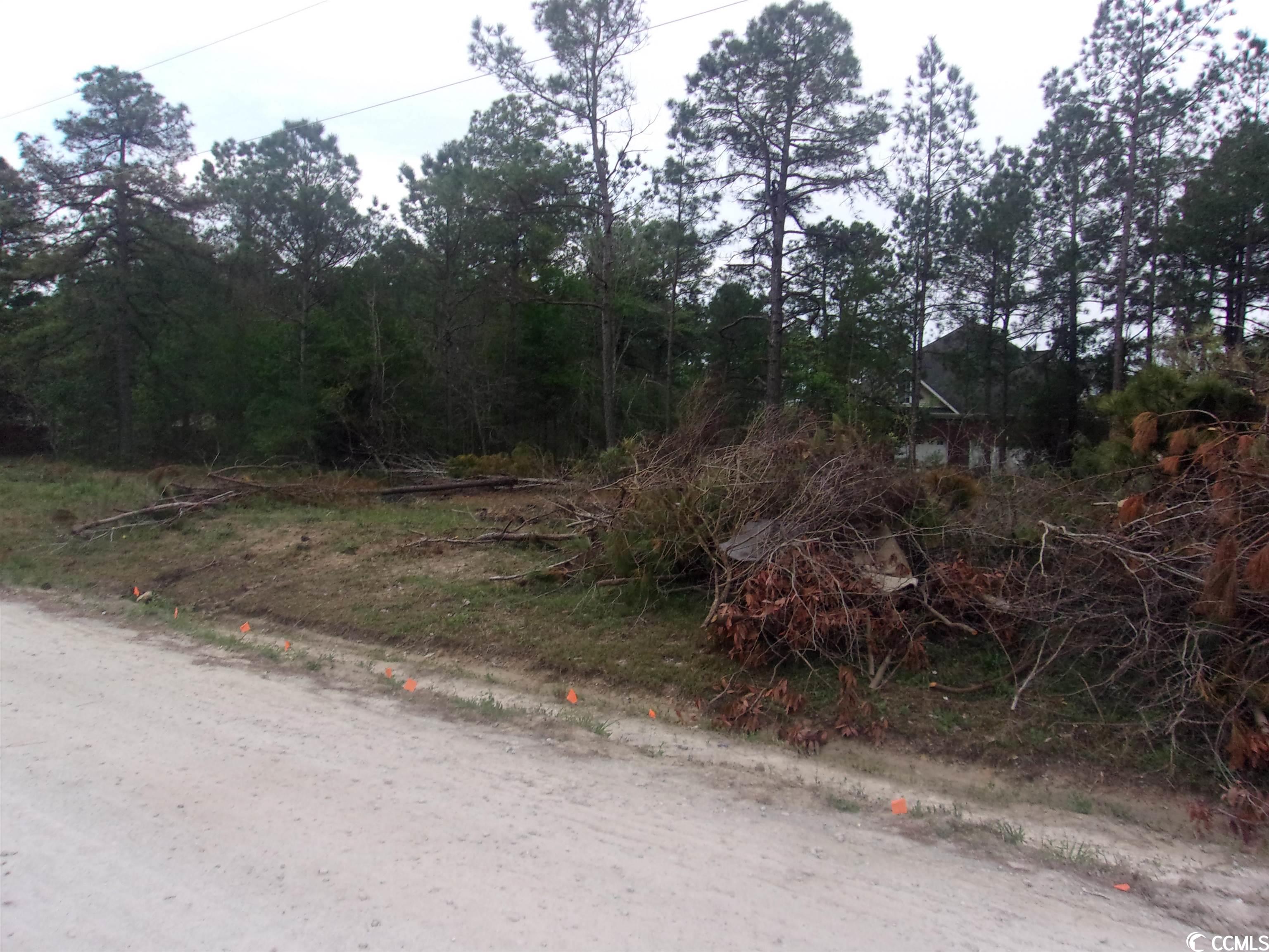 Tr A St Peters Church Road Myrtle Beach, SC 29588 - Photo 6 of 19 Gallery Image 6