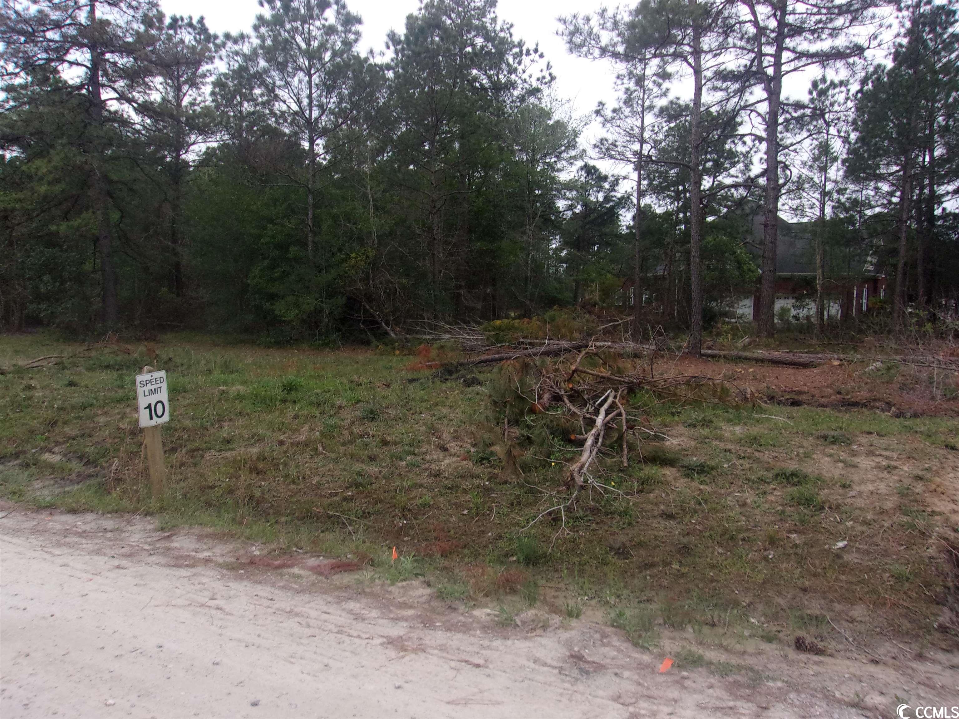 Tr A St Peters Church Road Myrtle Beach, SC 29588 - Photo 7 of 19 Gallery Image 7
