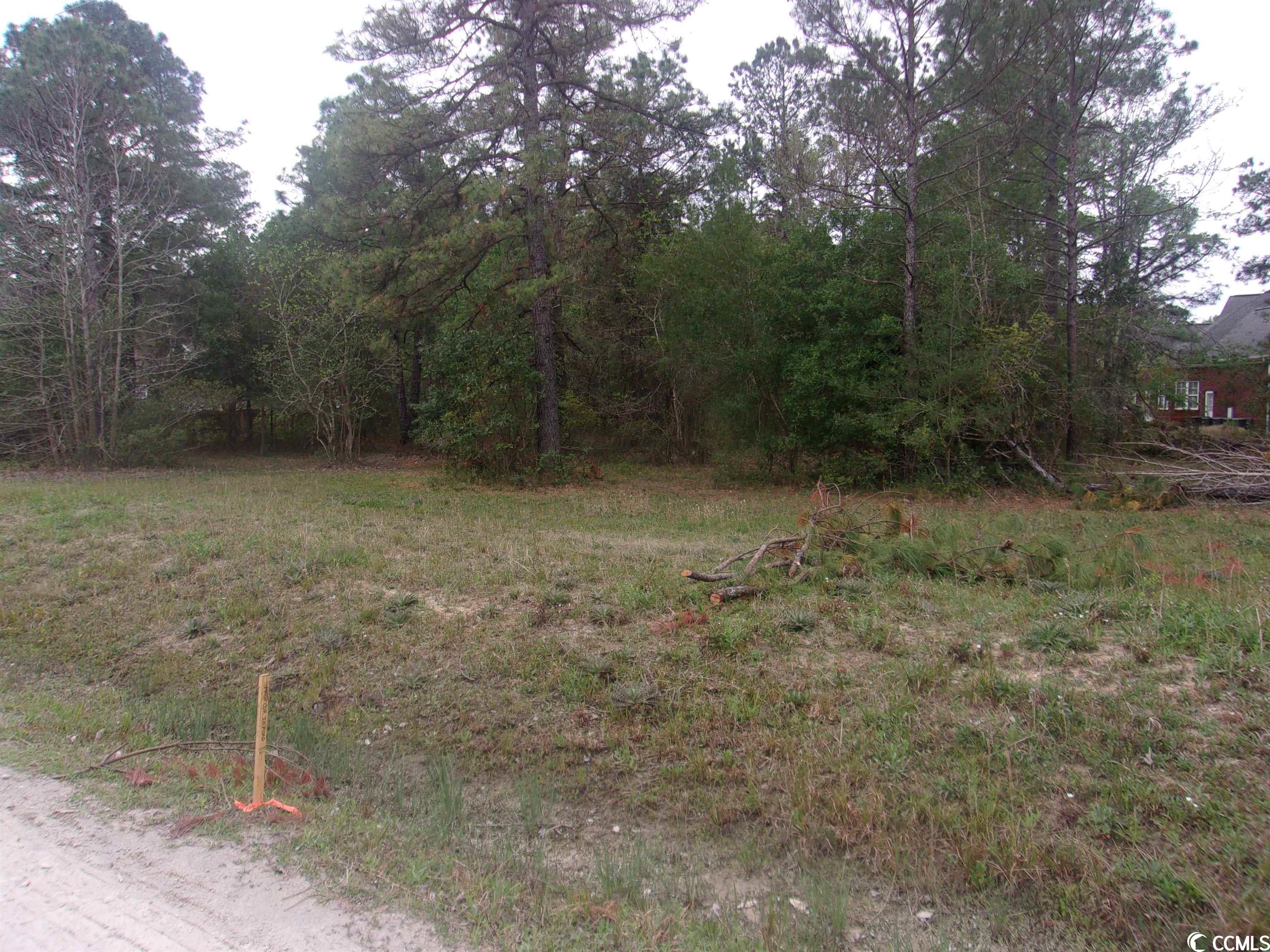 Tr A St Peters Church Road Myrtle Beach, SC 29588 - Photo 8 of 19 Gallery Image 8