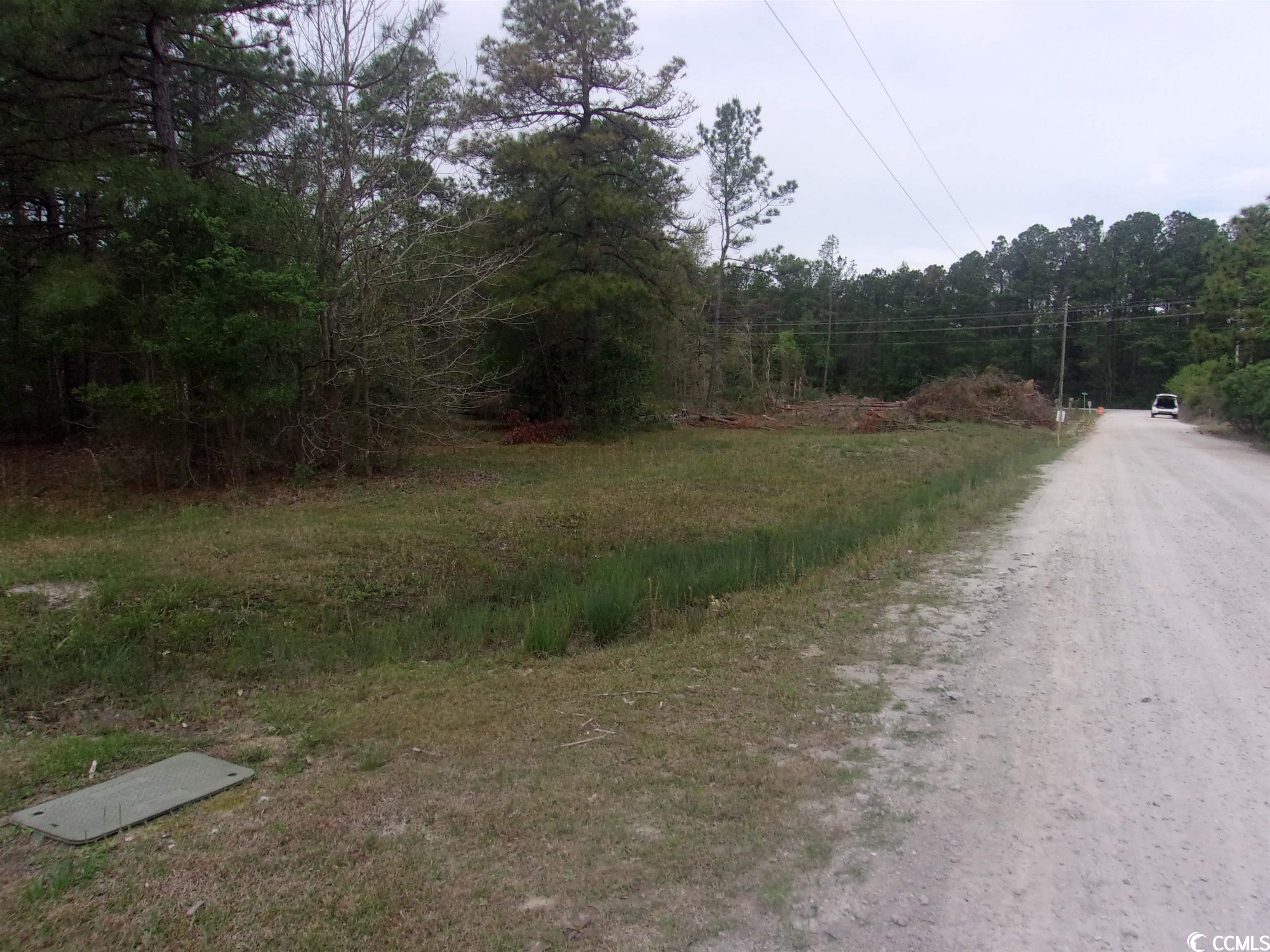 Tr A St Peters Church Road Myrtle Beach, SC 29588 - Photo 10 of 19 Gallery Image 10