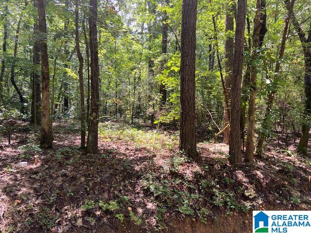 0 County Road 89, Unit 1 Clanton, AL 35046 - Photo 1 of 17