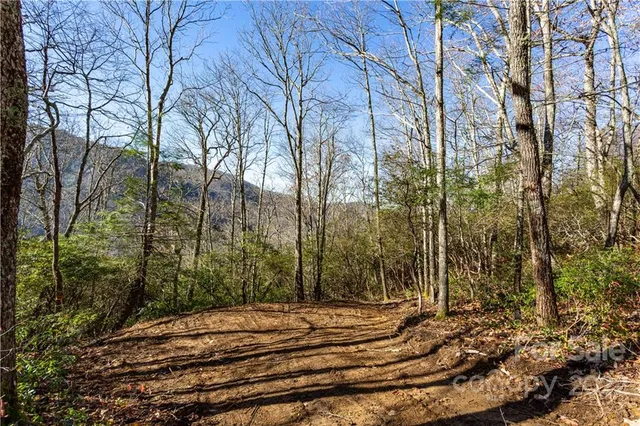 $69,500 | Lot 81 Shangri Lane, Unit 81, Cherokee, NC 28719